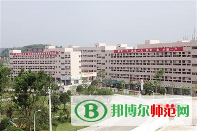 畢節(jié)幼兒師范高等?？茖W(xué)校2023年網(wǎng)站網(wǎng)址