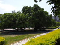 贛南師范學(xué)院科技學(xué)院2023年學(xué)費、收費多少
