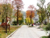 吉首師范大學(xué)張家界學(xué)院2023年學(xué)費(fèi)、收費(fèi)多少