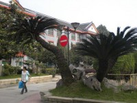 四川大學(xué)師范學(xué)院望江校區(qū)2023年學(xué)費(fèi)、收費(fèi)多少