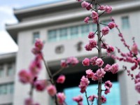 延安大學師范學院楊家?guī)X校區(qū)2023年學費、收費多少