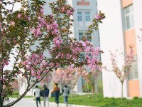 渭南職業(yè)技術(shù)師范學(xué)院朝陽校區(qū)2023年學(xué)費、收費多少