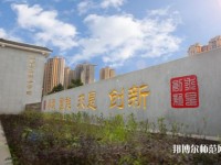 雅安職業(yè)技術師范學院2023年網站網址