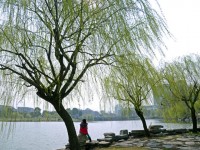 金華職業(yè)技術(shù)師范學(xué)院2023年學(xué)費、收費多少