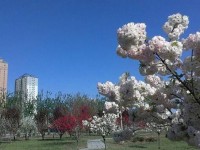 河北正定師范高等?？茖W校2023年招生錄取分數(shù)線