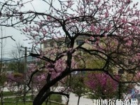 貴陽(yáng)中華幼師職業(yè)學(xué)校2023年怎么樣、好不好