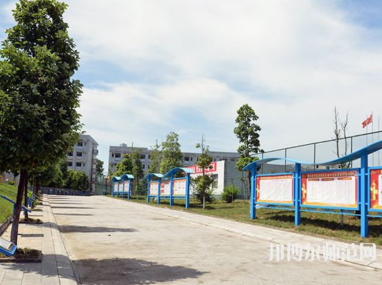 蒼溪縣幼兒師范職業(yè)高級中學(xué)2020年報(bào)名條件、招生要求、招生對象 