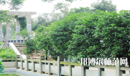 德陽(yáng)通用電子科技幼兒師范學(xué)校2020年報(bào)名條件、招生要求、招生對(duì)象