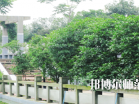 德陽通用電子科技幼兒師范學(xué)校2021年報(bào)名條件、招生要求、招生對象