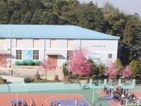 云南林業(yè)幼兒師范高級技工學校2023年學費、收費多少