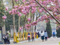 石家莊法商幼兒師范中等專業(yè)學(xué)校2023年學(xué)費(fèi)、收費(fèi)多少