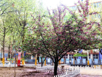 石家莊法商幼兒師范中等專業(yè)學(xué)校2023年報(bào)名條件、招生要求、招生對(duì)象