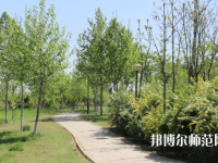 石家莊中英航空幼兒師范中等專業(yè)學校2023年怎么樣、好不好