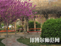 鄭州2020年幼師學(xué)?？梢詫W(xué)什么