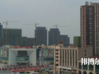 南昌2020年幼師學(xué)校中專升大?？际裁? /><b>南昌2020年幼師學(xué)校中專升大?？际裁?/b><span>2020-04-24 13:41</span><p>其實(shí)不同學(xué)生之間所選擇就讀的學(xué)校層次是有所不同的，而每所學(xué)校所招收的學(xué)生層次也是與學(xué)生選擇學(xué)校的情況有所聯(lián)系的，畢竟學(xué)生</p></a></li>
            <li><a href=