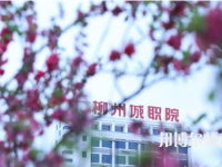 柳州城市職業(yè)師范學(xué)院2023年怎么樣、好不好