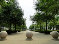廣西現(xiàn)代職業(yè)技術(shù)師范學(xué)院2023年報(bào)名條件、招生要求、招生對(duì)象