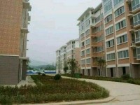 廣西幼兒師范高等?？茖W(xué)校2023年招生簡章