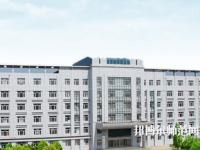 黑龍江幼兒師范高等?？茖W(xué)校2023年招生代碼