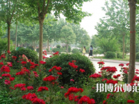 河南科技職業(yè)師范大學(xué)2023年報(bào)名條件、招生要求、招生對(duì)象