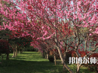 河南科技職業(yè)師范大學2023年怎么樣、好不好