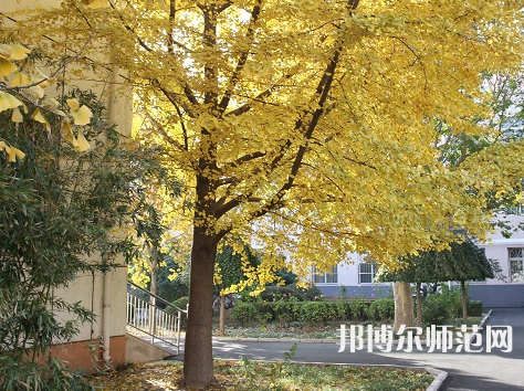 北京京北職業(yè)師范技術學院2023年報名條件、招生要求、招生對象