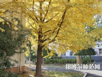 北京京北職業(yè)師范技術學院2023年報名條件、招生要求、招生對象