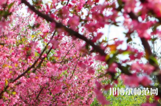 鄭州大學(xué)師范學(xué)院主校區(qū)2023年報(bào)名條件、招生要求、招生對(duì)象