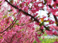 鄭州大學(xué)師范學(xué)院主校區(qū)2023年報(bào)名條件、招生要求、招生對象