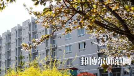 周口職業(yè)技術(shù)師范學(xué)院文昌校區(qū)2023年怎么樣、好不好