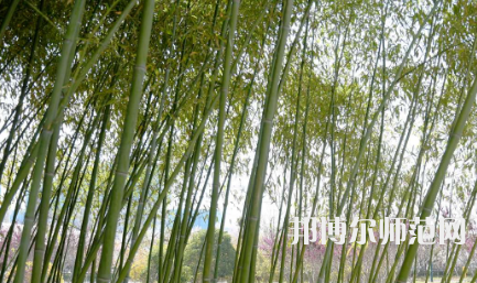周口職業(yè)技術師范學院開元校區(qū)2023年報名條件、招生要求、招生對象