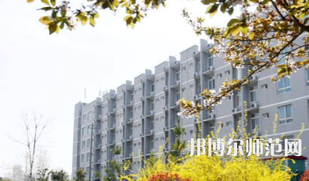 周口職業(yè)技術(shù)師范學(xué)院開元校區(qū)2023年怎么樣、好不好