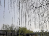 鶴壁職業(yè)技術(shù)師范學(xué)院2023年怎么樣、好不好