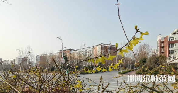 鶴壁職業(yè)技術(shù)師范學(xué)院2023年報名條件、招生要求、招生對象
