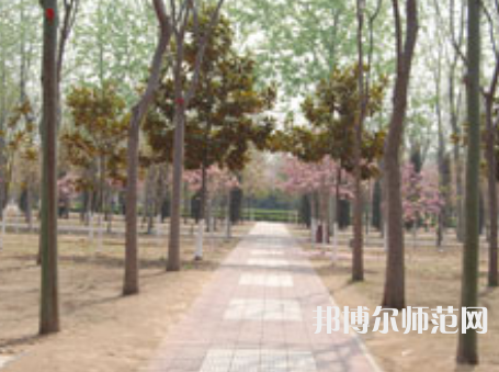 濮陽職業(yè)技術師范學院2023年報名條件、招生要求、招生對象
