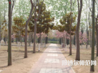 濮陽職業(yè)技術(shù)師范學(xué)院2023年報名條件、招生要求、招生對象