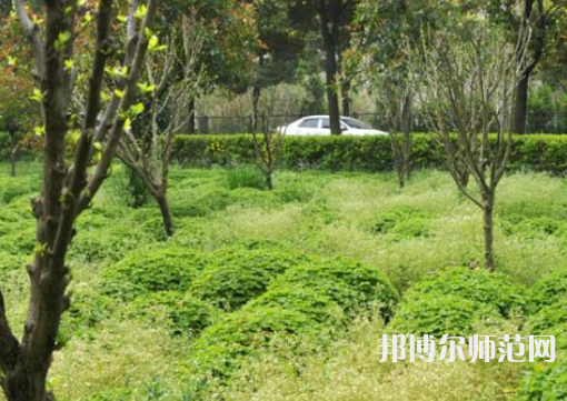 駐馬店師范職業(yè)技術學院2023年報名條件、招生要求、招生對象