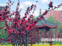駐馬店師范職業(yè)技術(shù)學(xué)院2023年報名條件、招生要求、招生對象