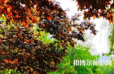 河南大學(xué)師范學(xué)院金明校區(qū)2023年怎么樣、好不好