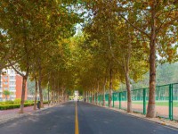 聊城師范大學(xué)東昌學(xué)院2023年報(bào)名條件、招生要求、招生對(duì)象
