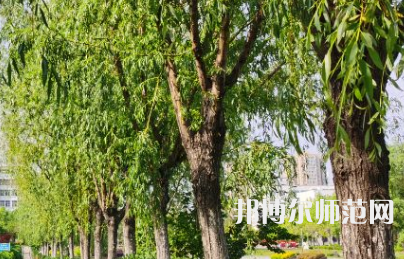 南陽理工師范學(xué)院2023年報(bào)名條件、招生要求、招生對(duì)象