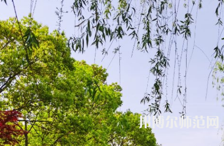 南陽理工師范學(xué)院2023年報(bào)名條件、招生要求、招生對(duì)象