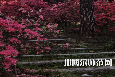 信陽師范學(xué)院華銳學(xué)院2023年報(bào)名條件、招生要求、招生對象