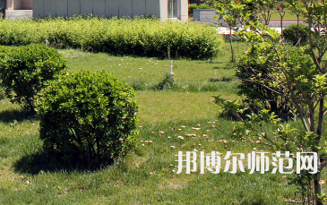 安陽幼兒師范高等?？茖W(xué)校歷年招生錄取分?jǐn)?shù)線