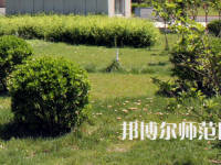 安陽(yáng)幼兒師范高等?？茖W(xué)校歷年招生錄取分?jǐn)?shù)線