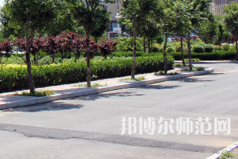 安陽幼兒師范高等?？茖W(xué)校2023年有哪些專業(yè)