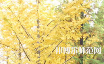 信陽師范學(xué)院2023年怎么樣、好不好