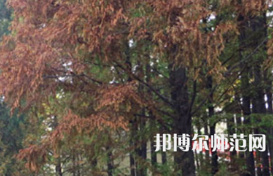 信陽師范學(xué)院2023年怎么樣、好不好
