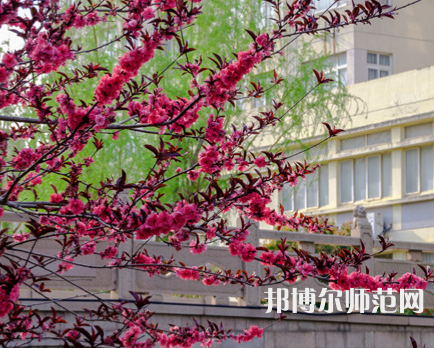 蘇州科技師范大學天平學院2023年報名條件、招生要求、招生對象