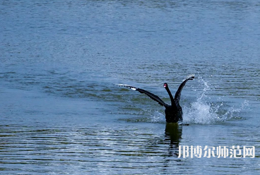 浙江師范大學(xué)2023年怎么樣、好不好